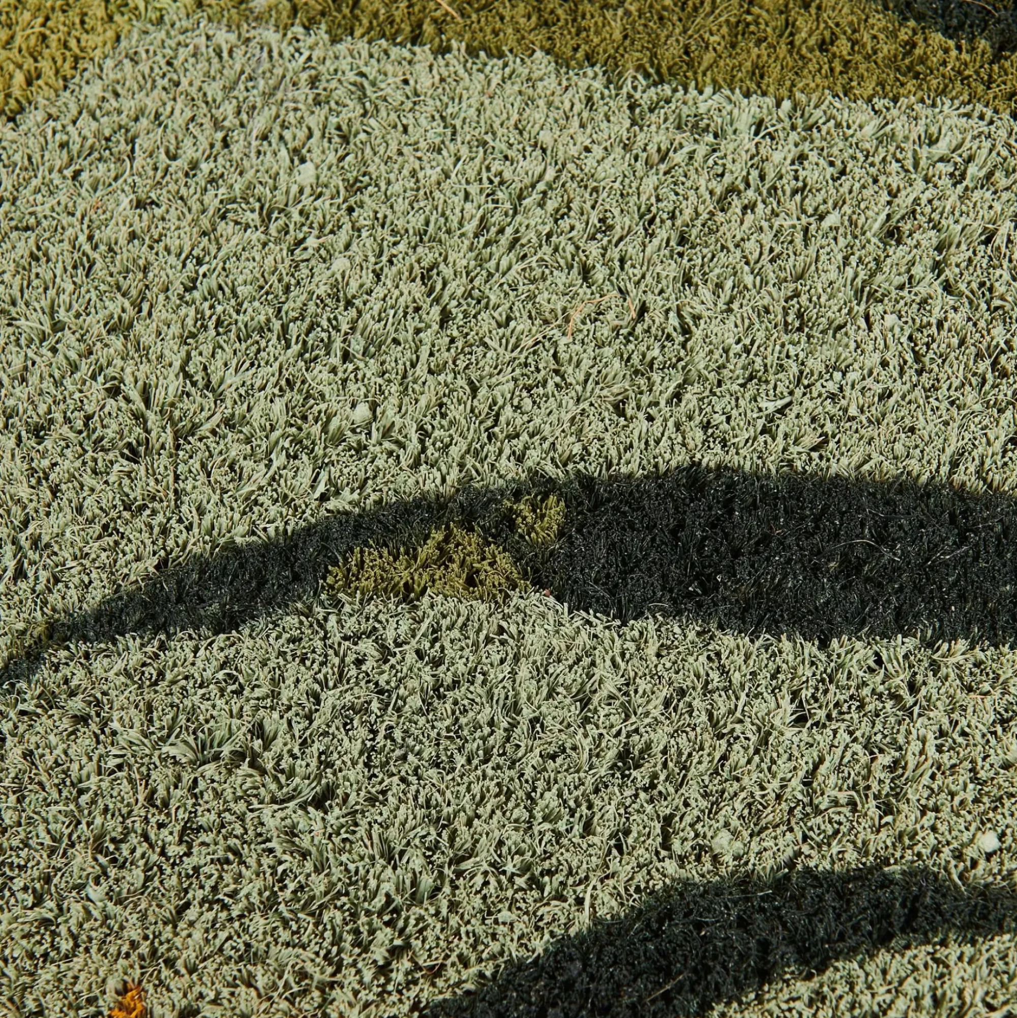 CASA Bambou Felpudo Verde Discount