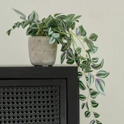 CASA Calathea Planta Colgante Gris, Verde, Morado New