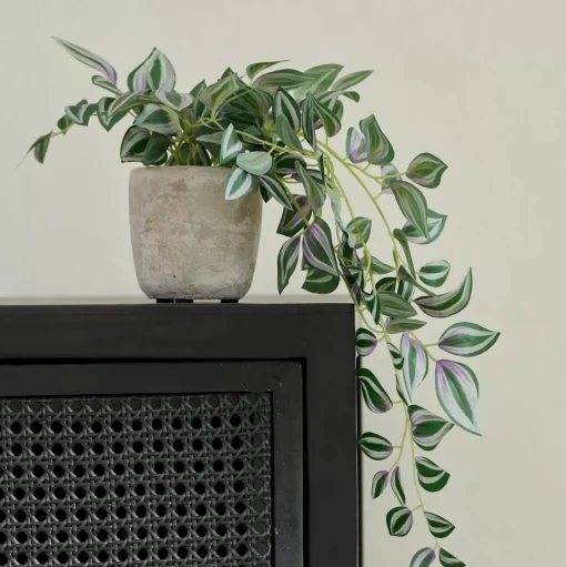 CASA Calathea Planta Colgante Gris, Verde, Morado New