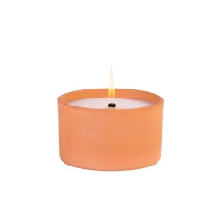 CASA Citronella Bandeja De Terracota Blanco, Verde Hot