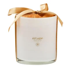 CASA Escape World Goa Vela Perfumada En Vaso Blanco, Color Rosa Viejo Store