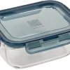 CASA Evolution Fuente De Horno Con Tapa Gris, Transparente Hot