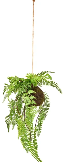 CASA Greenery Macetero Colgante Con Helecho Verde Discount
