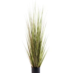CASA Herba Hierba En Maceta A120Cm Verde Hot