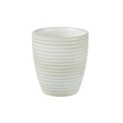 CASA Masterchef Taza Beis Best Sale
