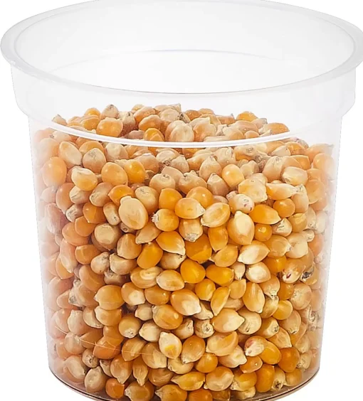 CASA Popcorn Maiz Outlet