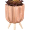 CASA Stripe Planta Crasa Art En Tarro Multicolor Cheap