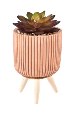 CASA Stripe Planta Crasa Art En Tarro Multicolor Cheap